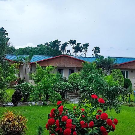 Greenland Safari, Sauraha Luaran gambar