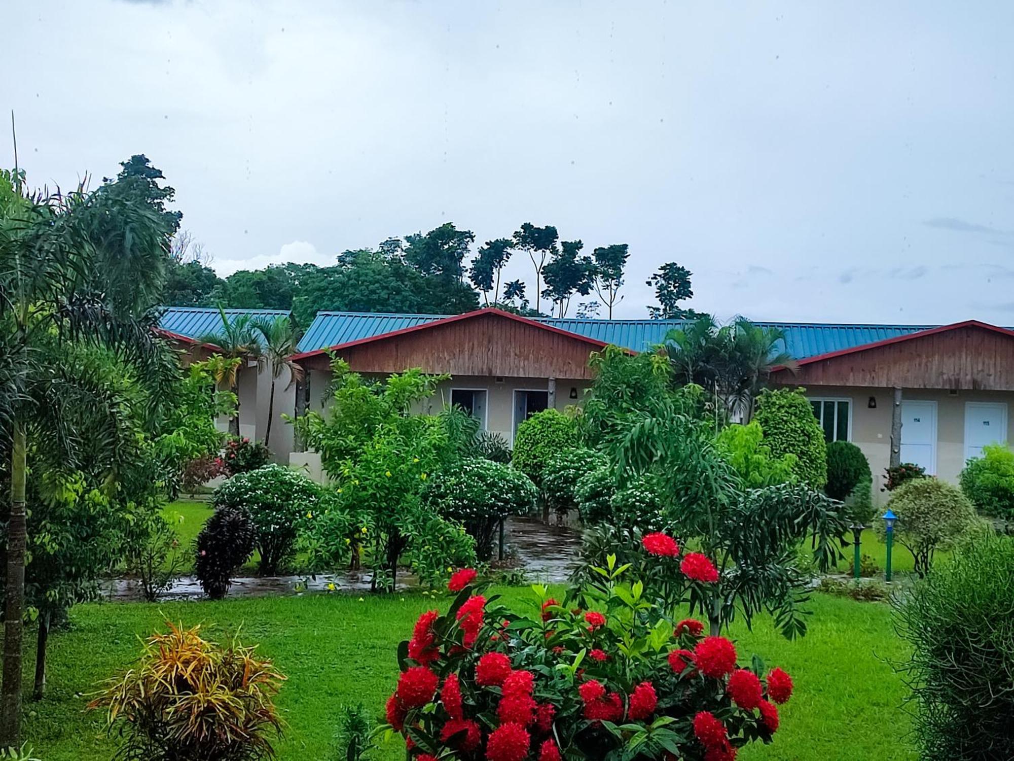 Greenland Safari, Sauraha Luaran gambar